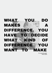 IN HONOR of JANE GOODALL