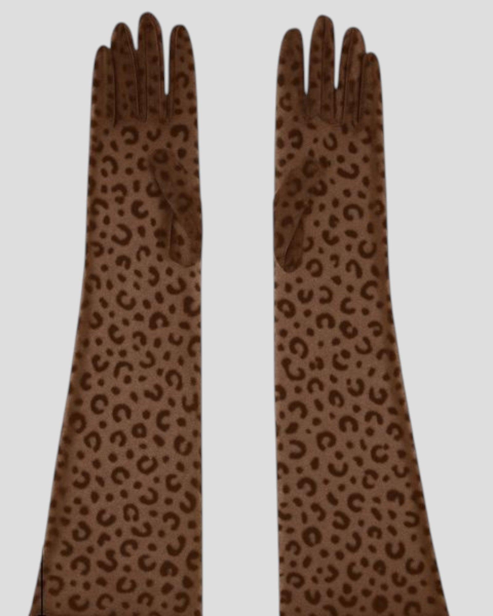 Queen Leopard Print Sheer Mesh 55cm Opera Length Glove