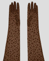 Queen Leopard Print Sheer Mesh 55cm Opera Length Glove
