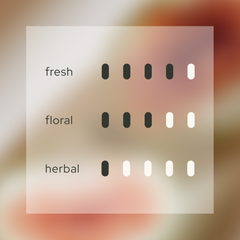 Mystic Essence 空 Reed Diffuser Refill (With 8 Reeds)