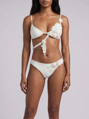 Pearl Reef Bikini Bottom