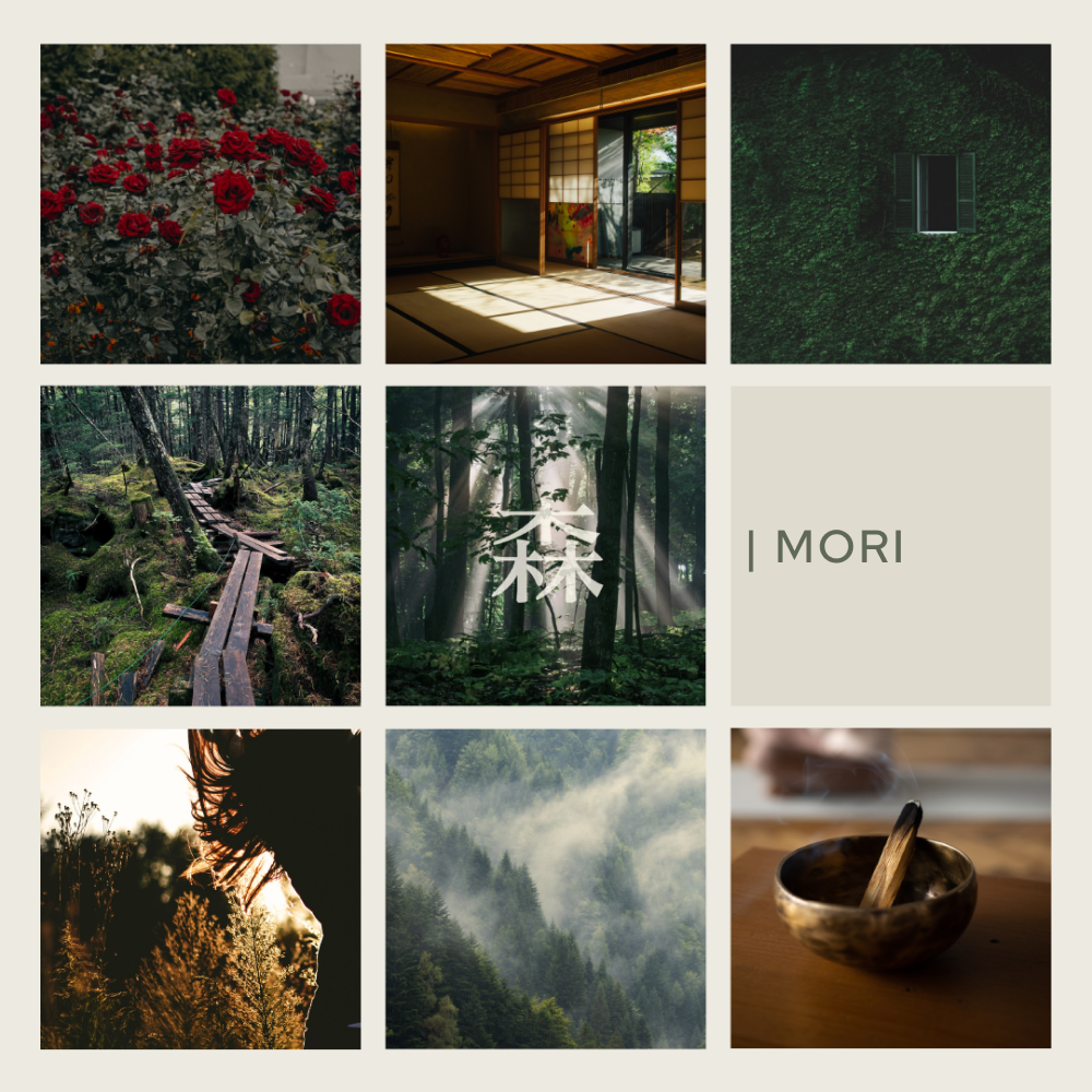 Forest Breath 森 Home Reed Diffuser