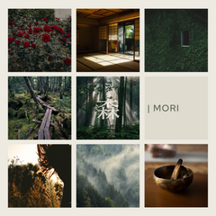 Forest Breath 森: Reed Diffuser Refill (With 8 Reeds)