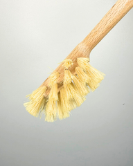 Cleaning Brush