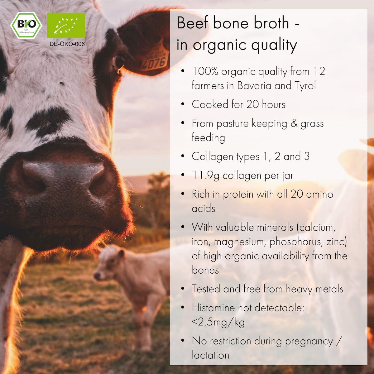 Bone Broth Trial Package (3x 350ml)