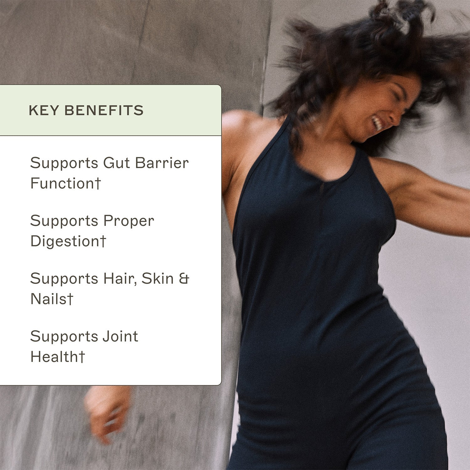 Collagen Protein - Type 1 & 3 Collagen
