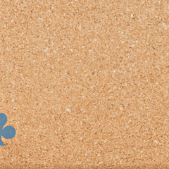 Classic Cork Yoga Block