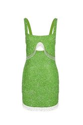 Posy Green Beaded Tasseled Mini Dress