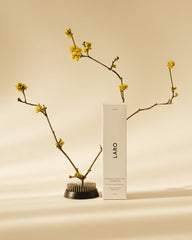 Naturally Whitening Toothpaste