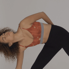 Honey Date Palm Artemis Sports Bra