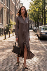 Silk Shirt Dress the Lady