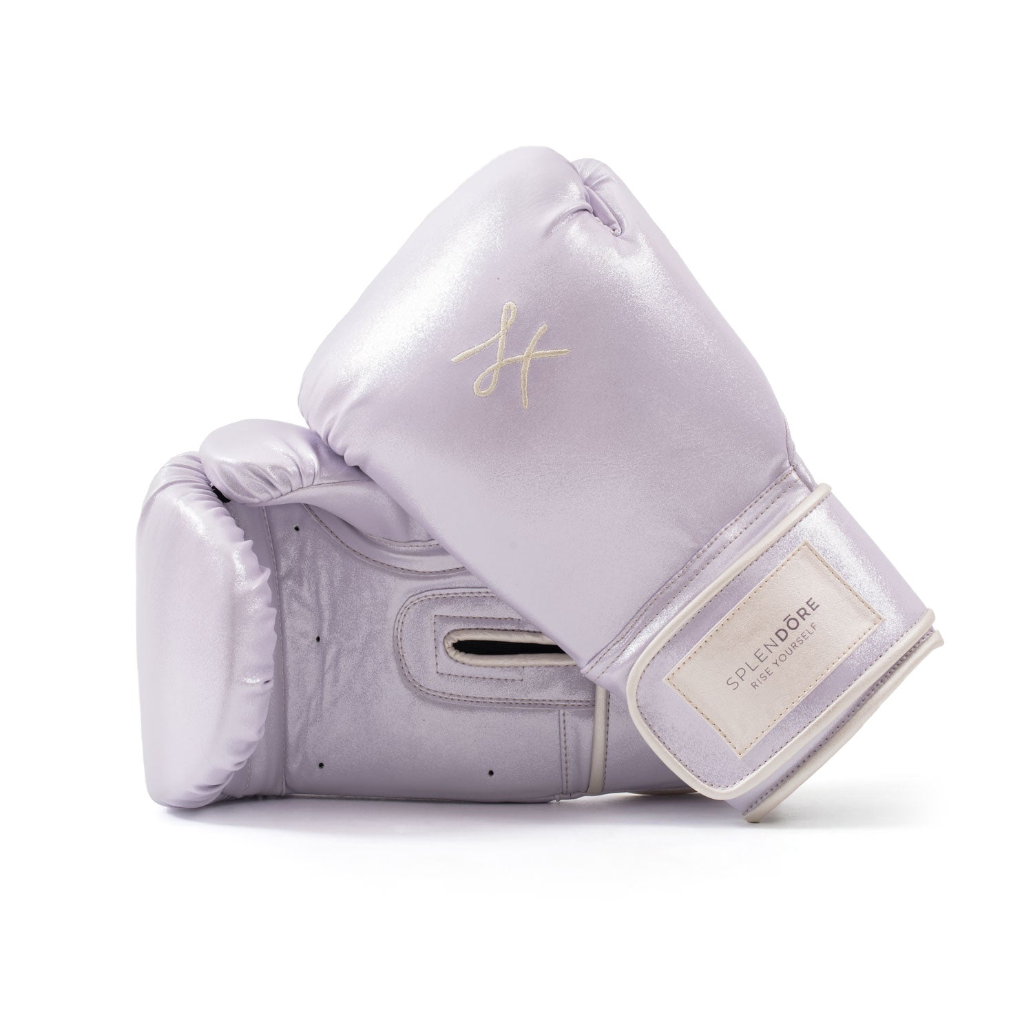 Boxing Gloves Taro - Avenue Athletica