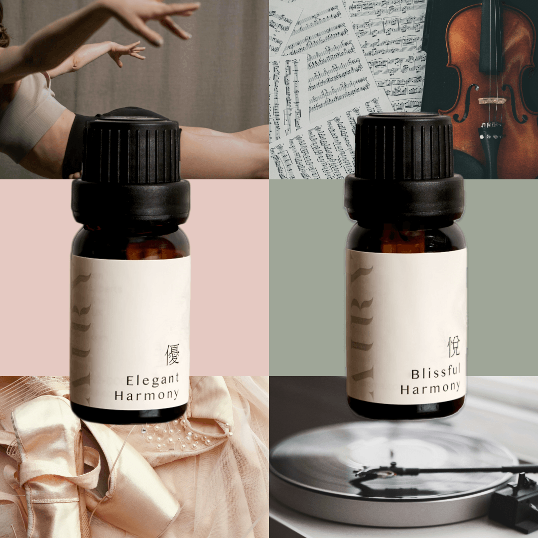 Airy Aroma Fragrance Stone Diffuser Set