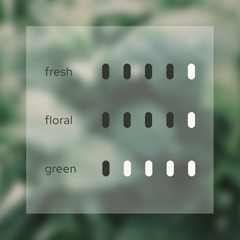 Blissful Harmony 悅 Fragrant Oil Blend