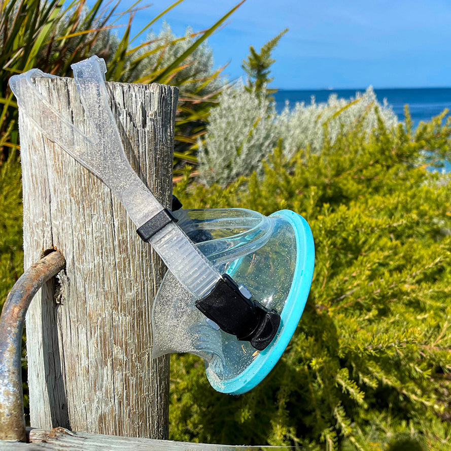Snorkel Mask
