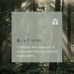 Forest Breath 森 Home Reed Diffuser