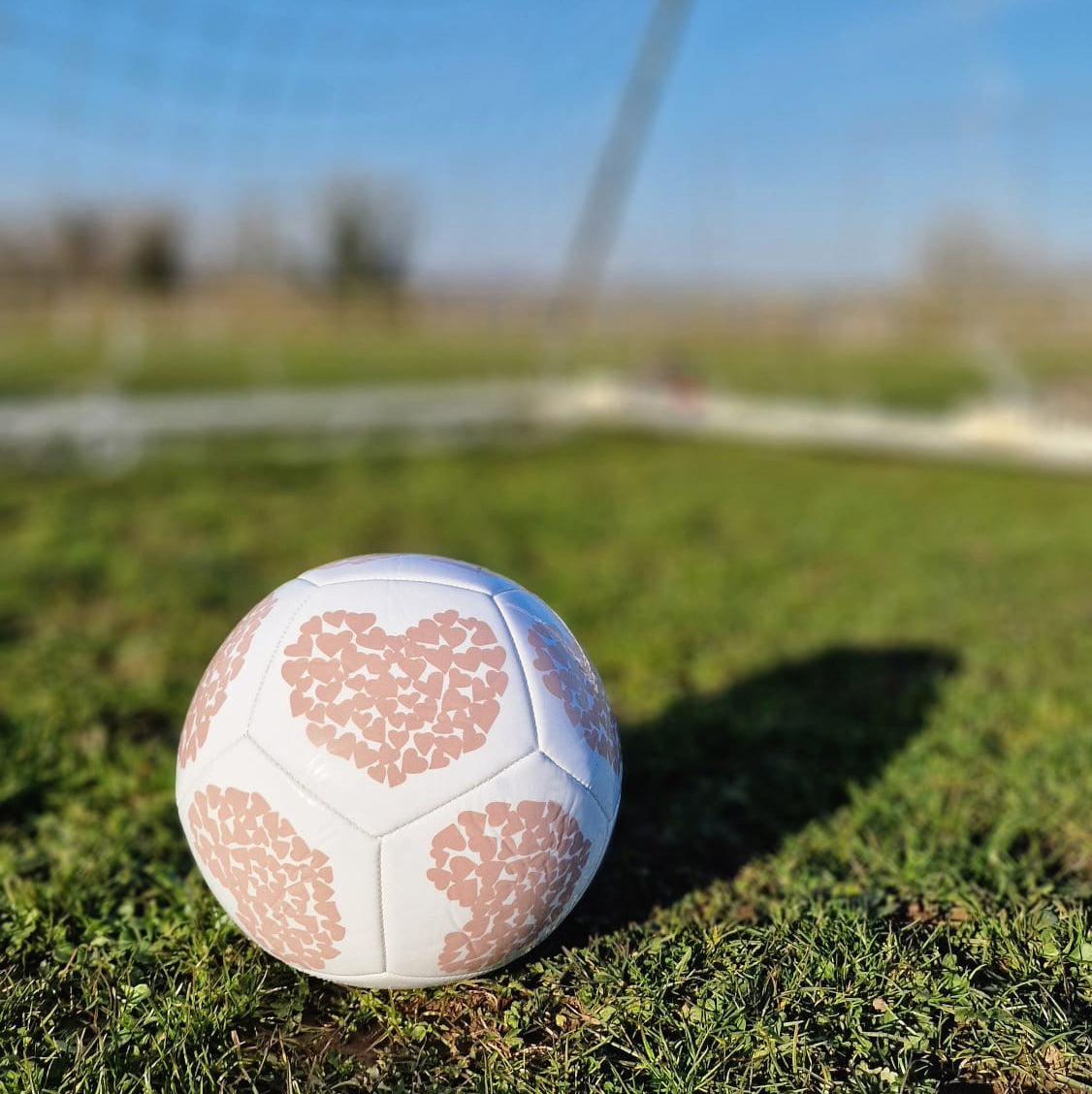 Ball With Heart