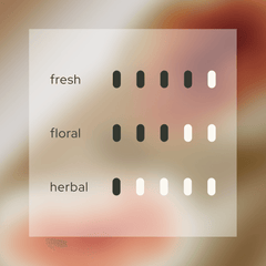 Mystic Essence 空 Home Reed Diffuser
