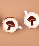 Smart Cookie: Mushroom Cacao Elixir