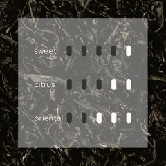 Sweet Infusion 幻 Home Reed Diffuser
