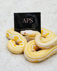 Synergetic Bio Cellulose Eye Mask