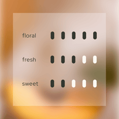 Velvet Embrace 韻 Home Reed Diffuser