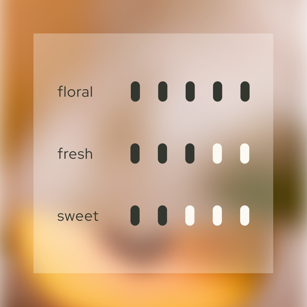 Velvet Embrace 韻 Diffuser Refill  (With 8 Reeds)