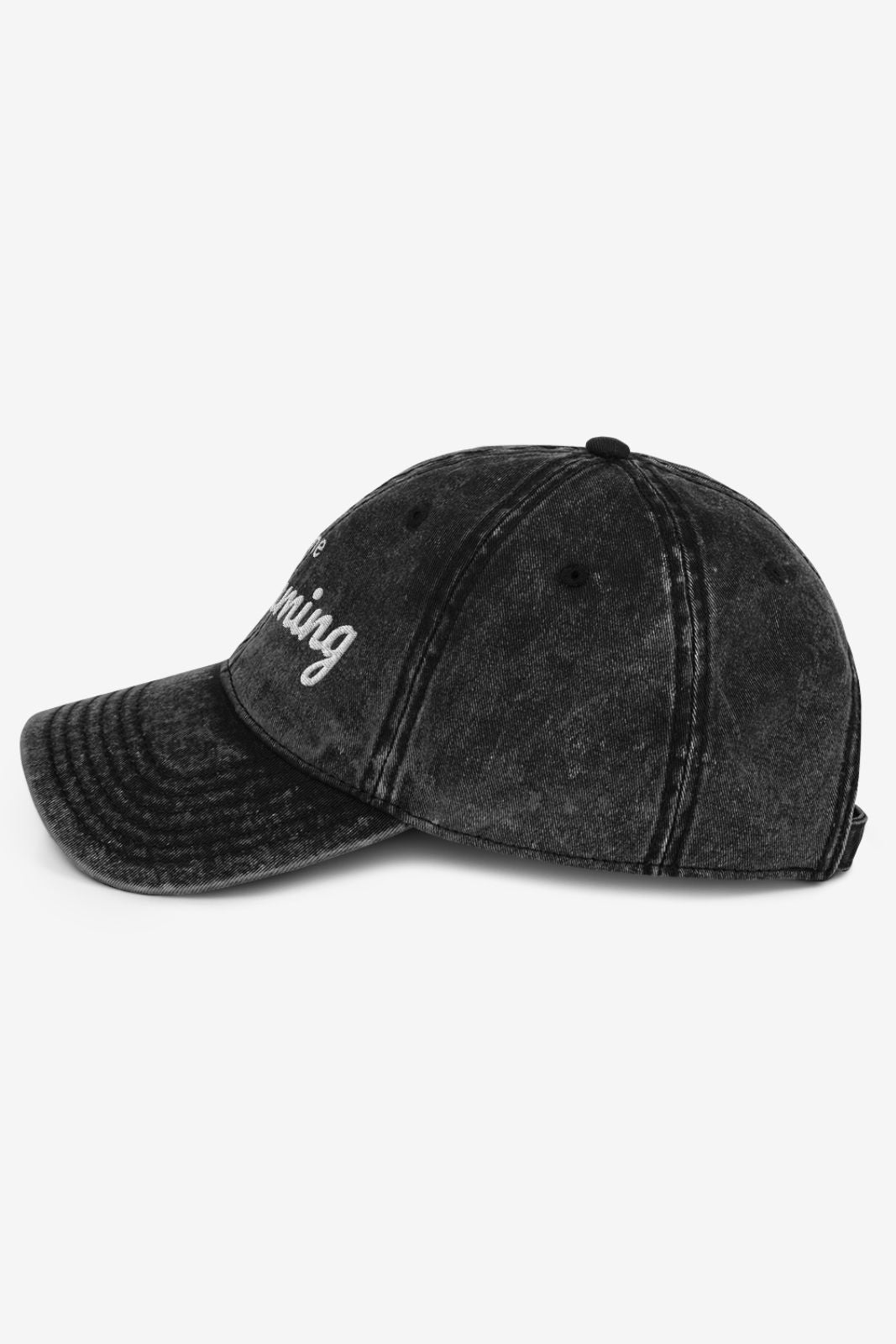 Gone Swimming Vintage Cap