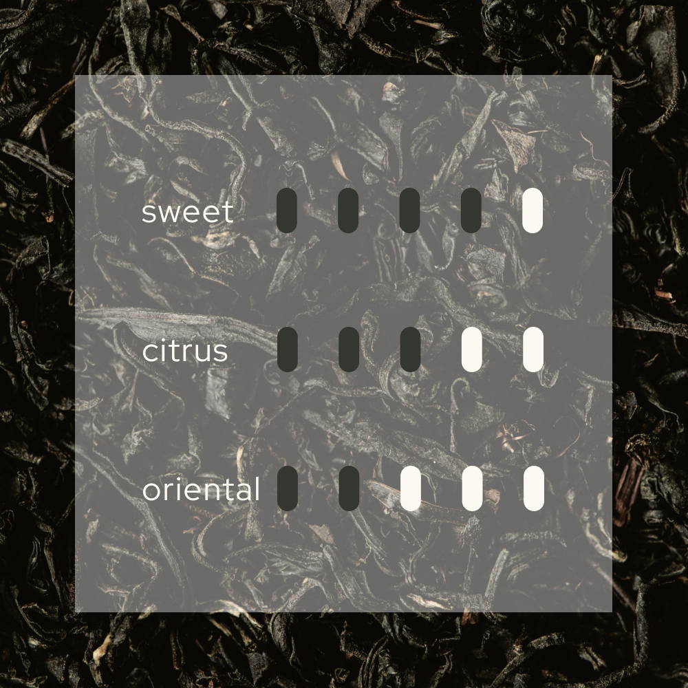 Sweet Infusion  幻  Reed Diffuser Refill   (With 8 Reeds)