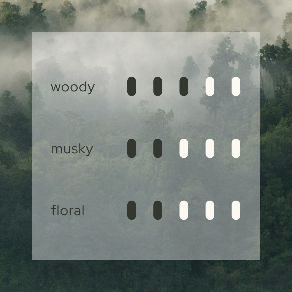 Forest Breath  森  Home Reed Diffuser