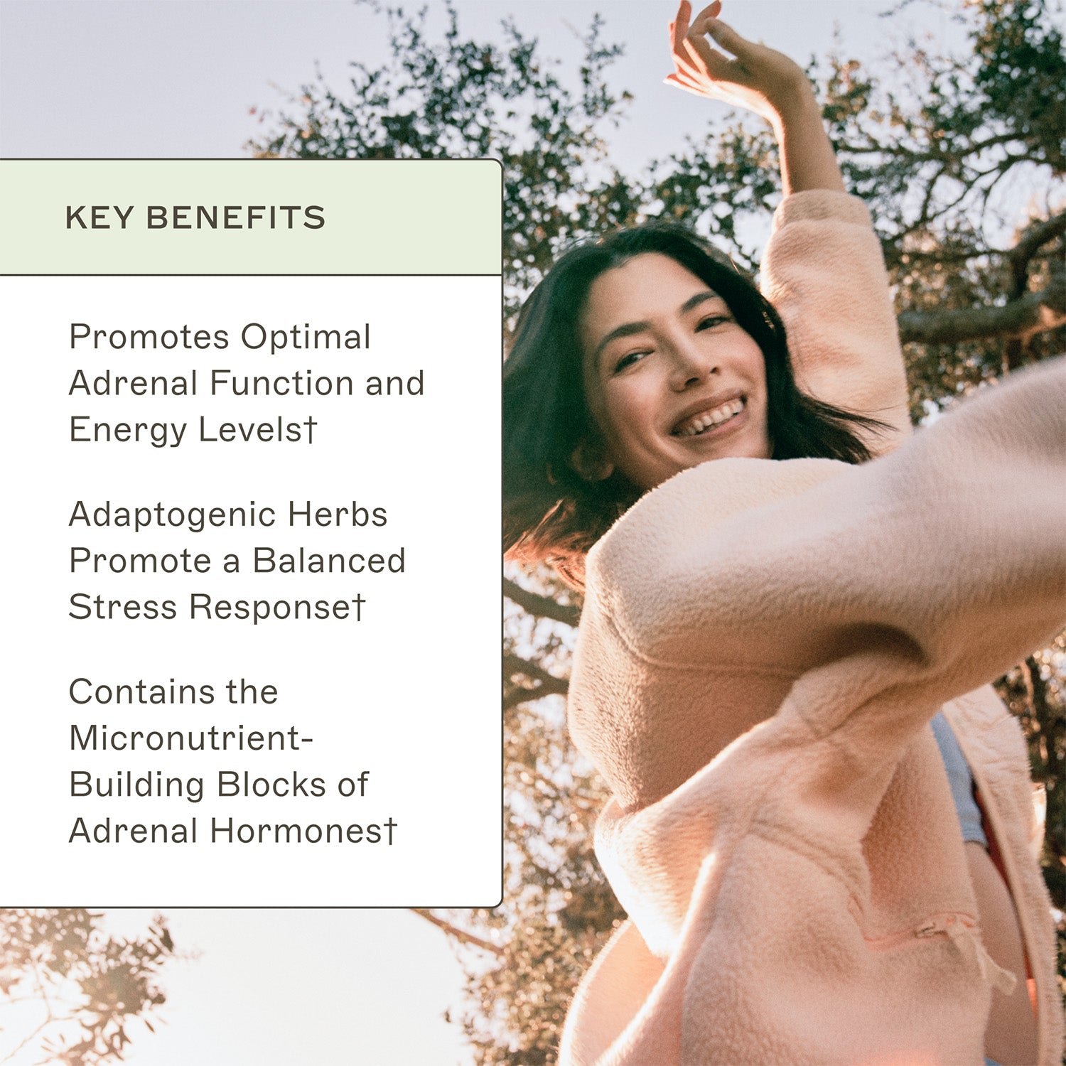 Adrenal Support