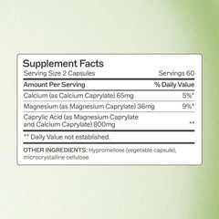 Caprylic Acid