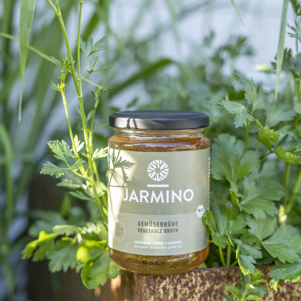 Vegetable Broth (6x 350ml)