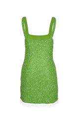Posy Green Beaded Tasseled Mini Dress