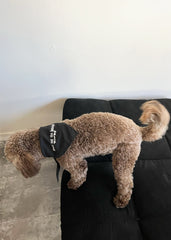 Dog Bandana