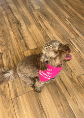 Dog Bandana