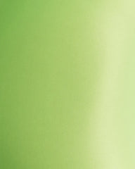 Mercury Tights - Lime