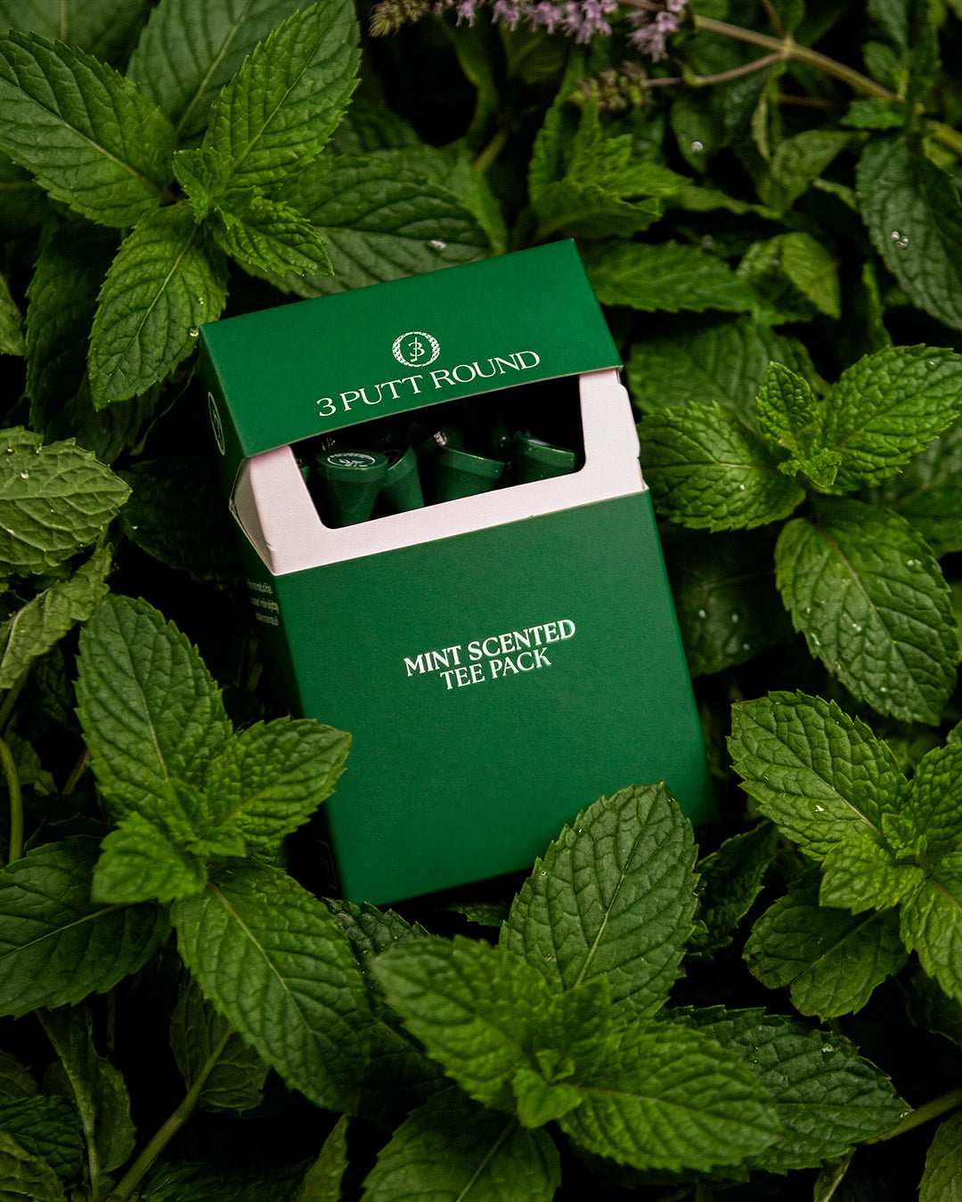 THE MINT SCENTED TEE PACK
