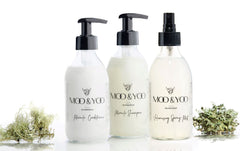 Amplify Bundle - Miracle Shampoo, Conditioner and Volumising Spray Mist.