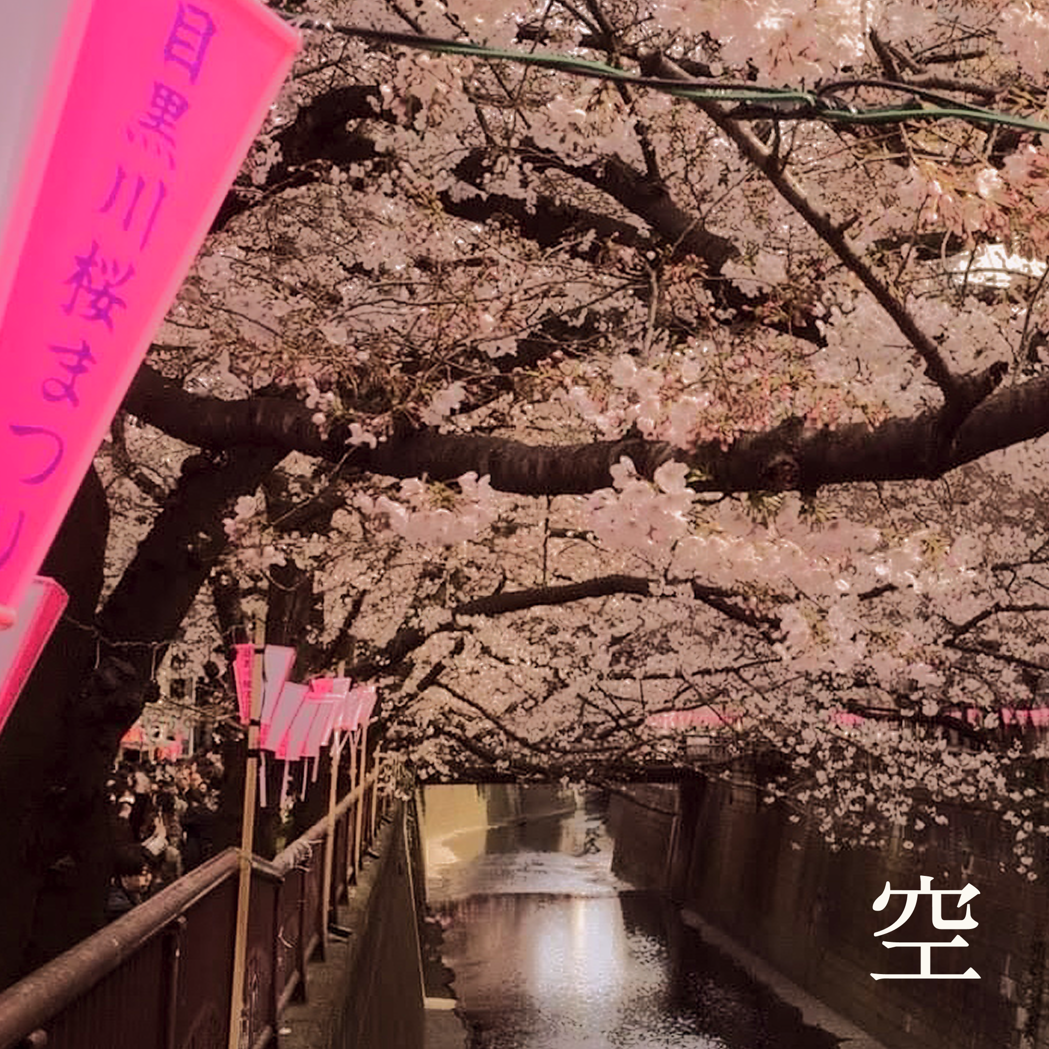 Mystic Essence  空  Reed Diffuser Refill   (With 8 Reeds)