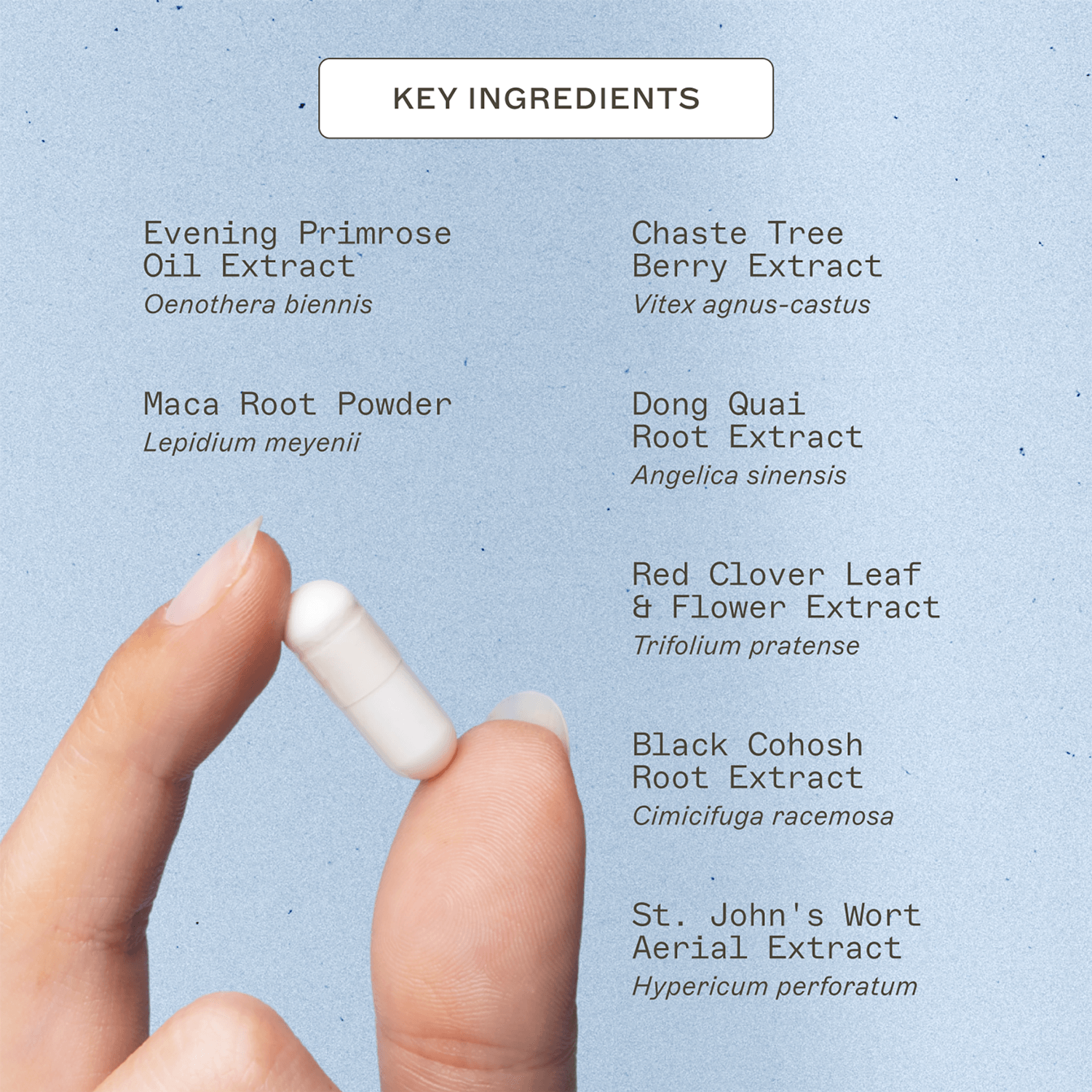 Perimenopause Support