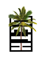 PALMS HOODIE