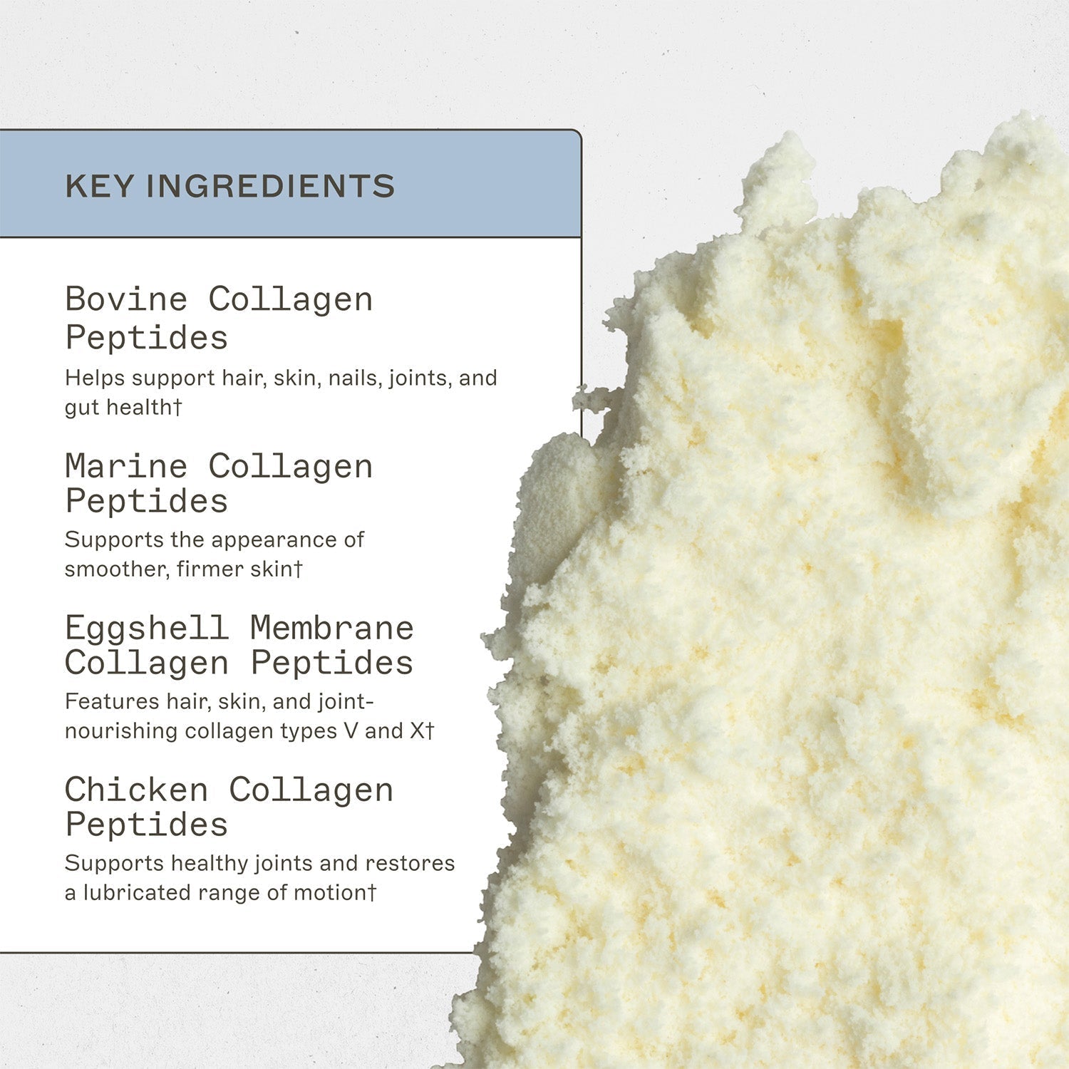 Spectrum 5 Collagen™