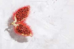 Root to Rise Ceremonial Cacao Elixir (For Deep Grounding)