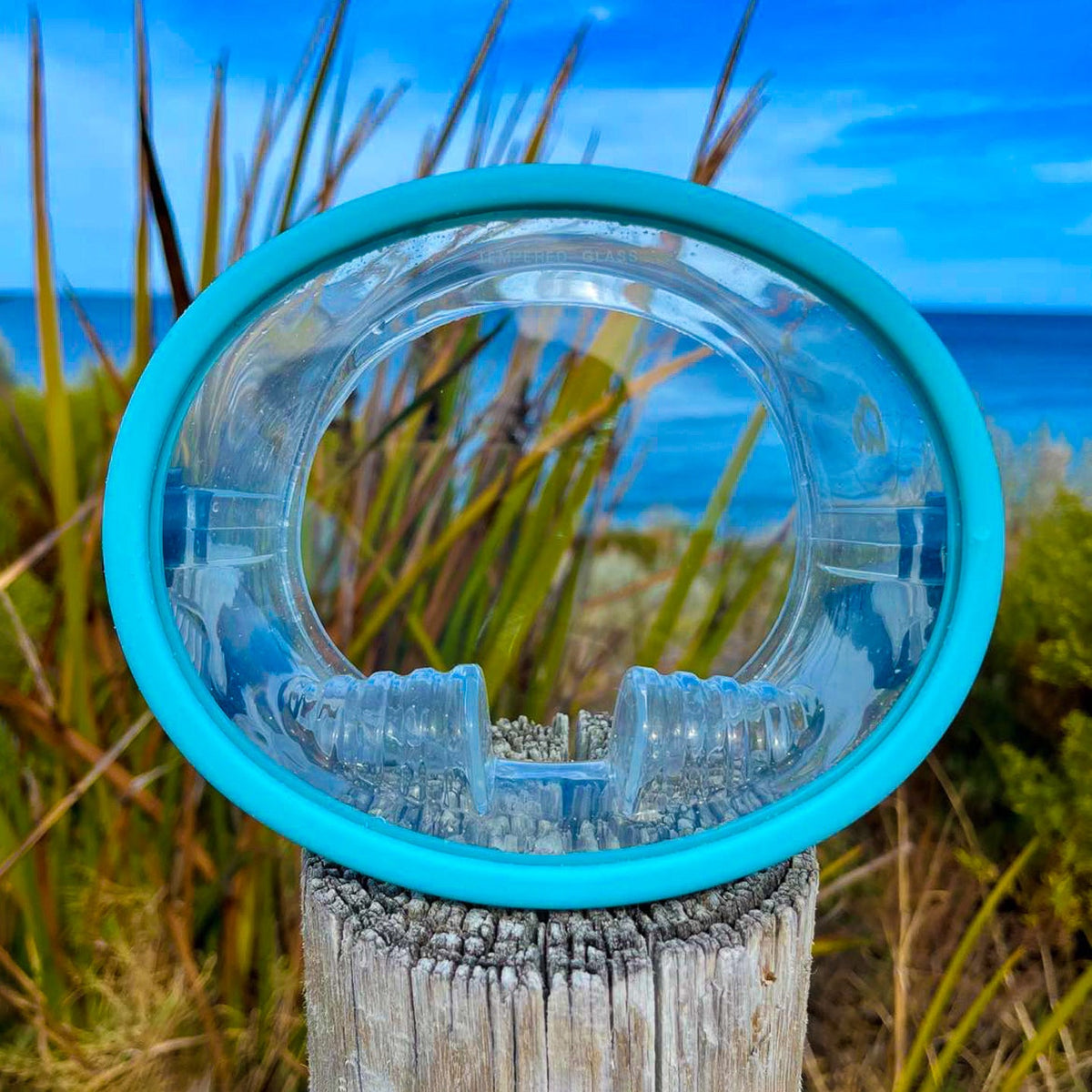 Snorkel Mask