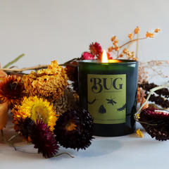 Burnt Fen X Evermore Bug Candle