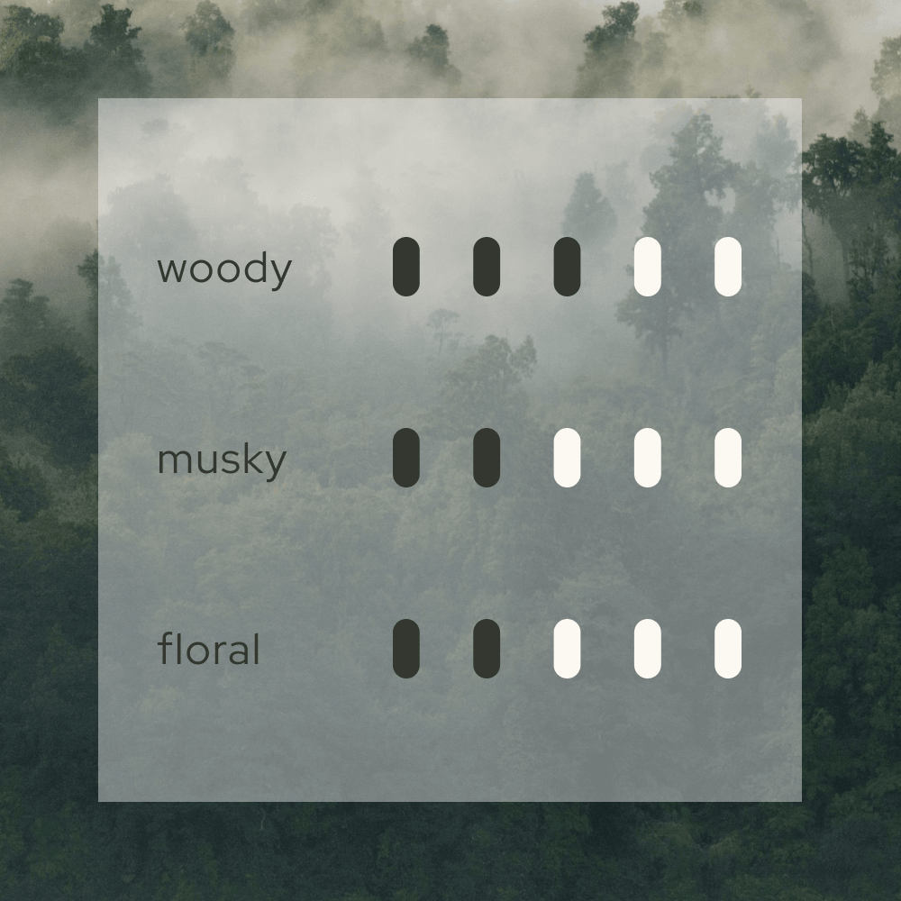 Forest Breath  森  Home Reed Diffuser