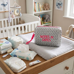 Silver Wipes & Dipes Cosmetic Bag