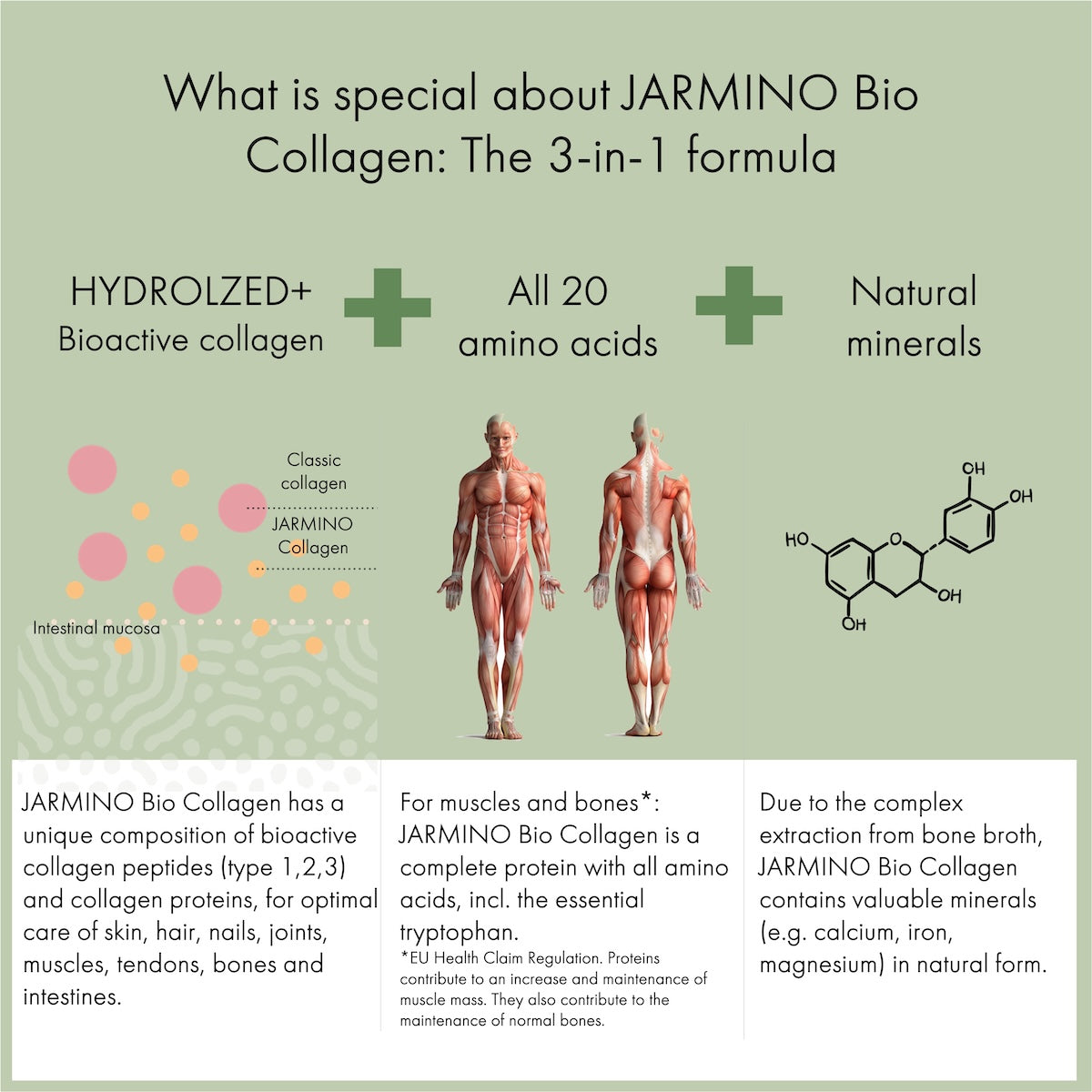 Organic Collagen (300g)