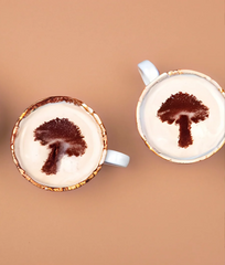 Smart Cookie: Mushroom Cacao Elixir